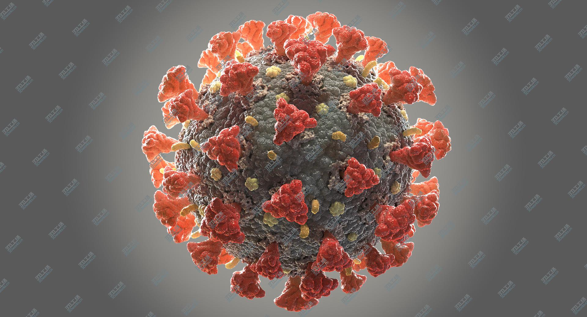 images/goods_img/202105071/3D Coronavirus 02 model/2.jpg